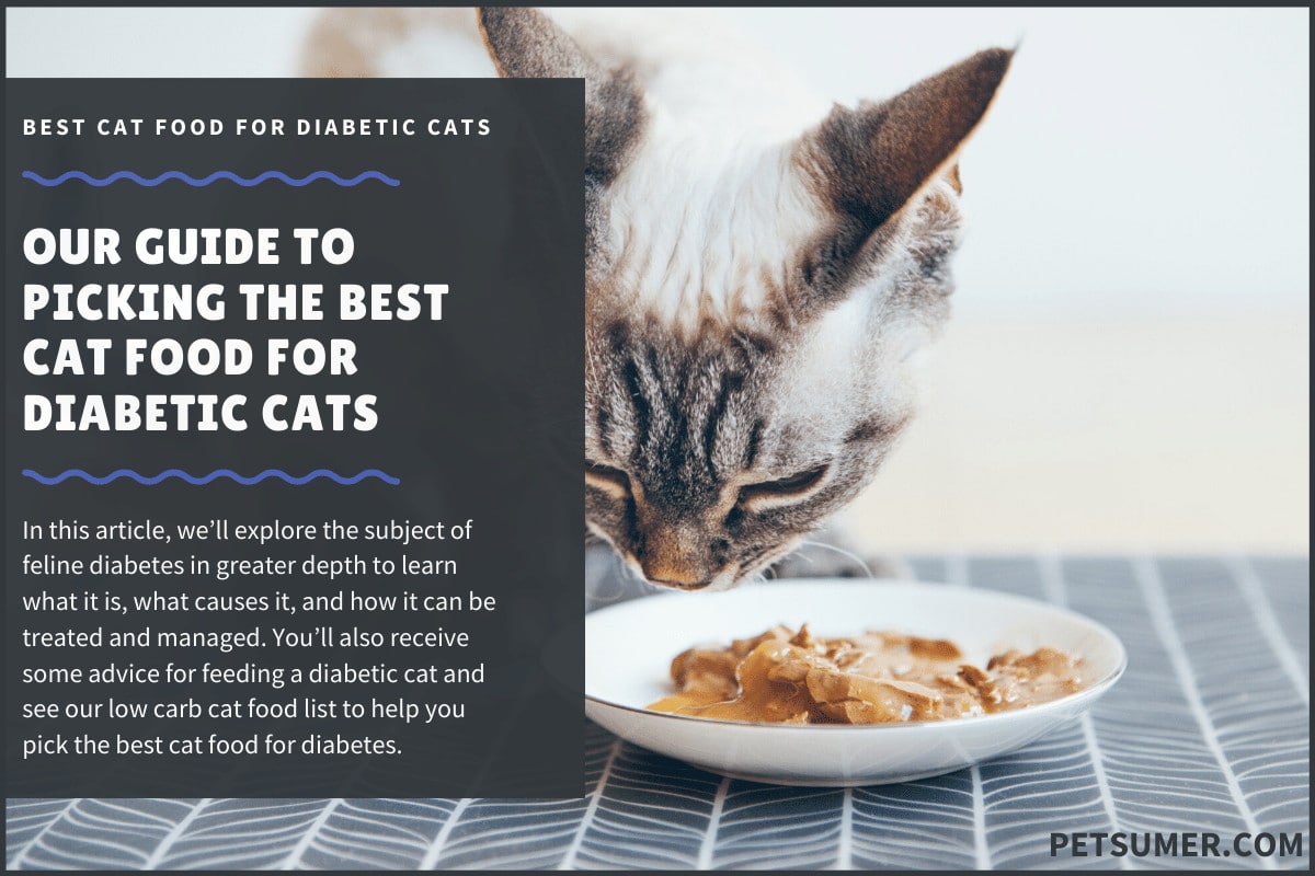 low carb cat food for diabetic cats
