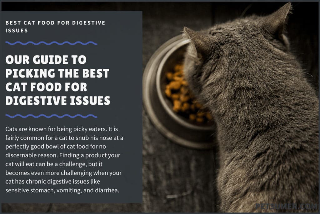 best cat food for digestive issues
