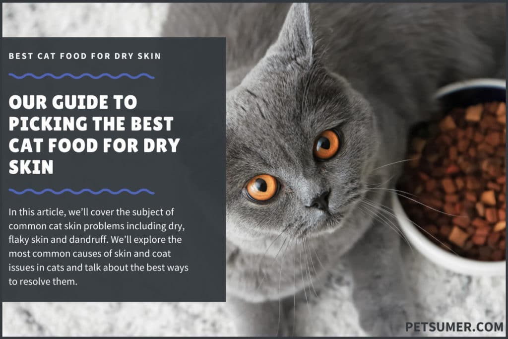 best cat food for dry and flaky skin (1)