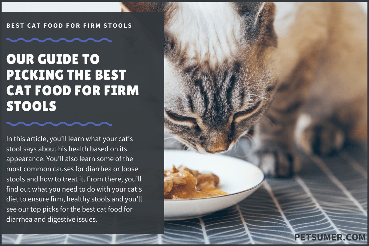 best cat food for firm stools 2