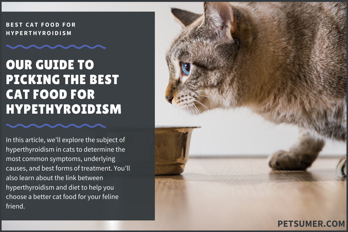 9 Best Cat Foods For Hyperthyroidism In 2021