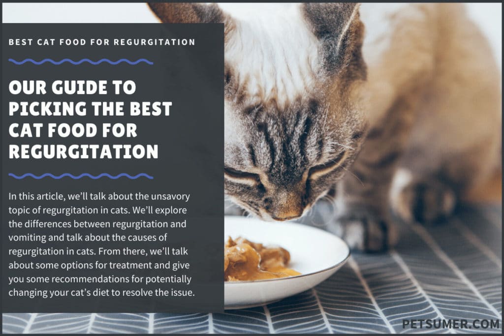 best cat food for regurgitation (1)