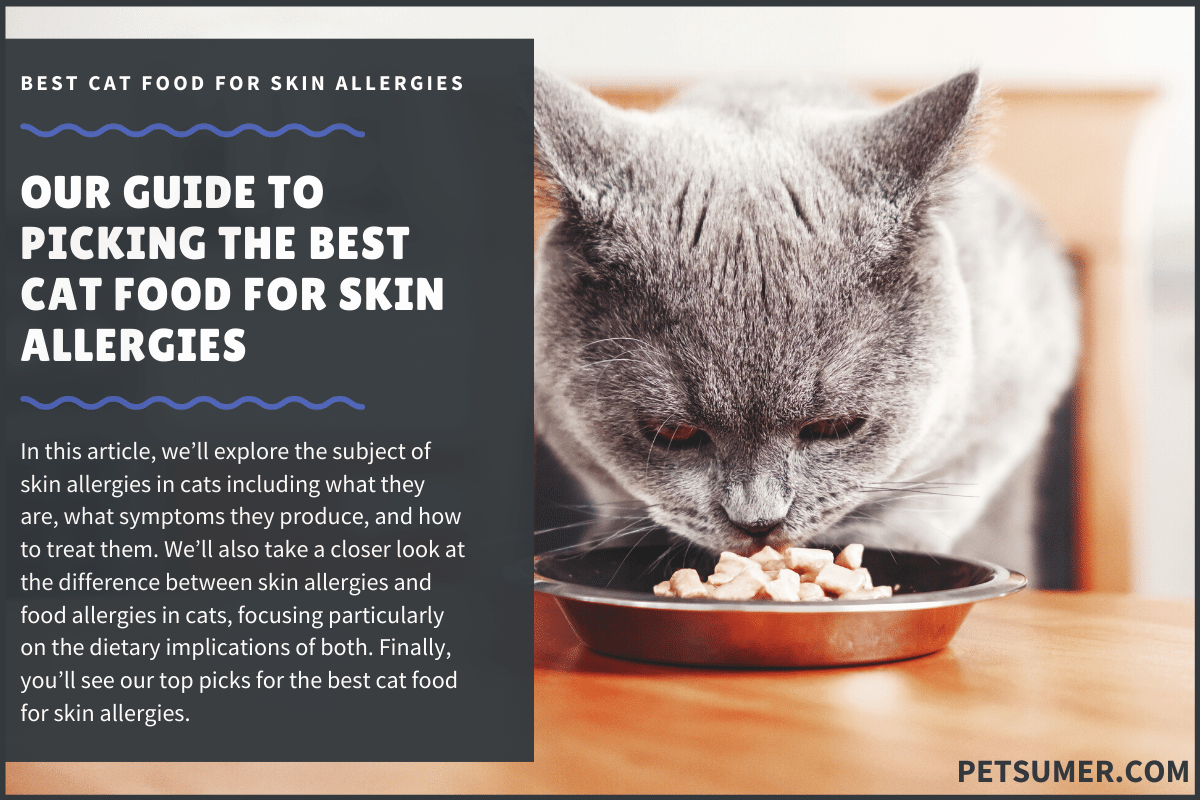 Best Cat Food For Cats With Skin Allergies Pet Supplies Authority