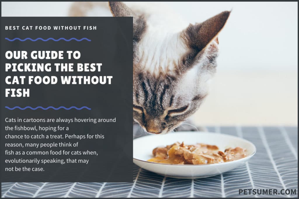 BEST CAT FOOD WITHOUT FISH