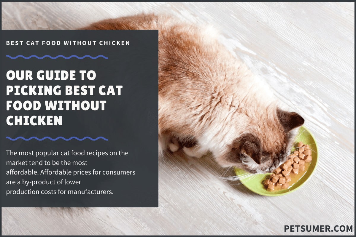 10 Best Cat Foods Without Chicken In 2020