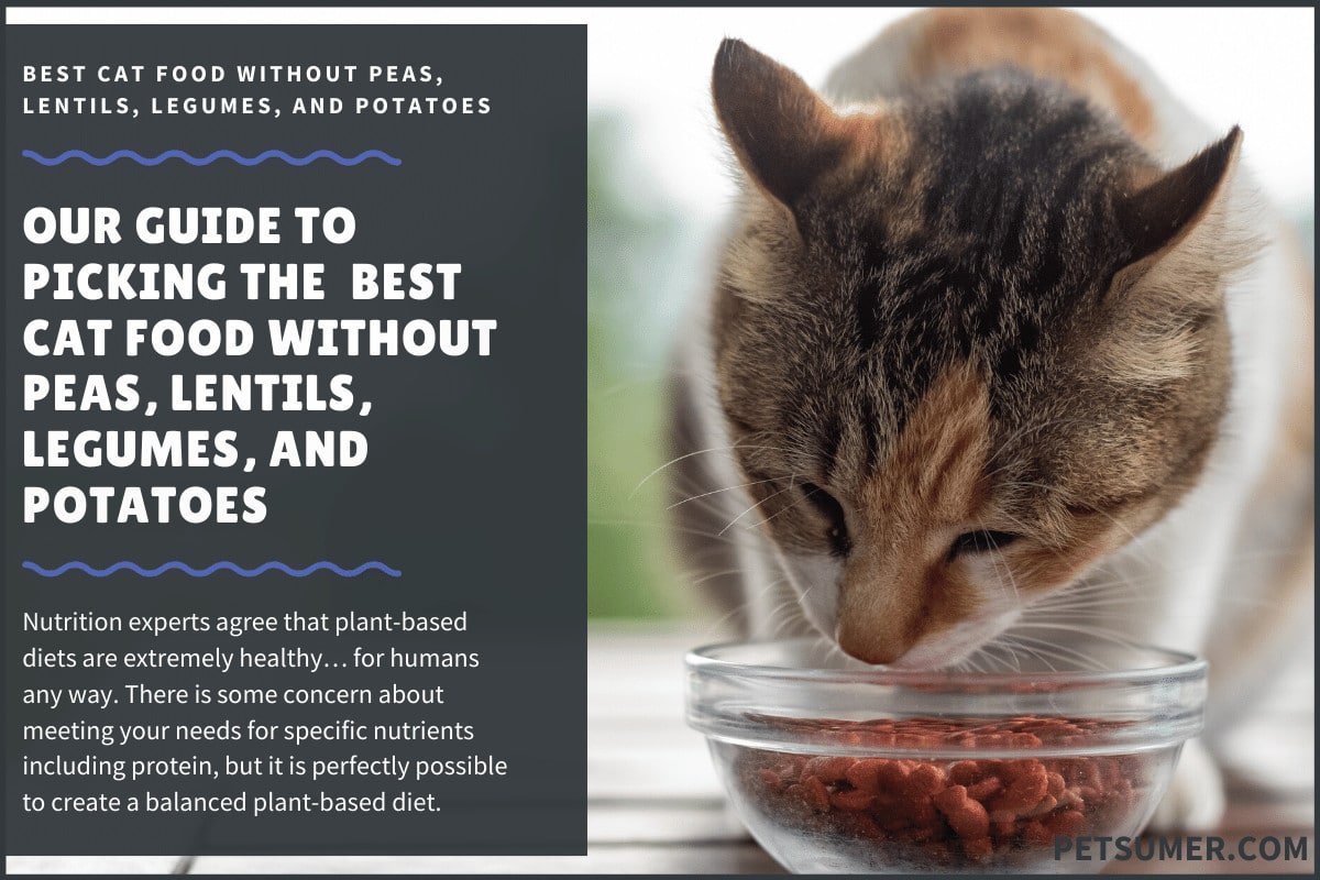 9 Best Cat Food Without Peas, Lentils 