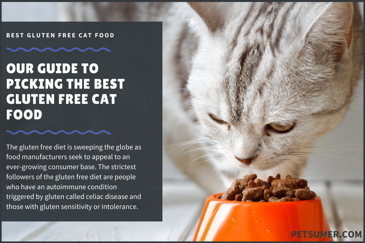 10 Best Gluten Free Cat Food in 2020
