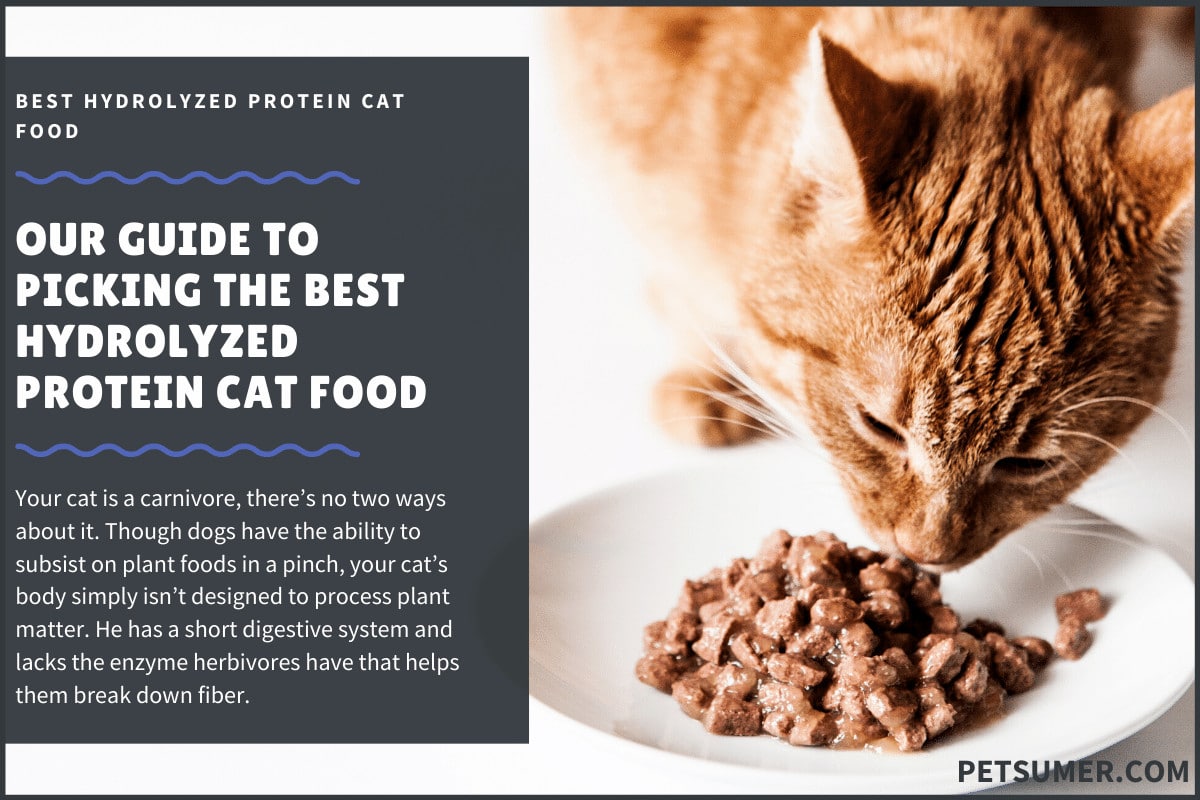 hydrolyzed protein cat food