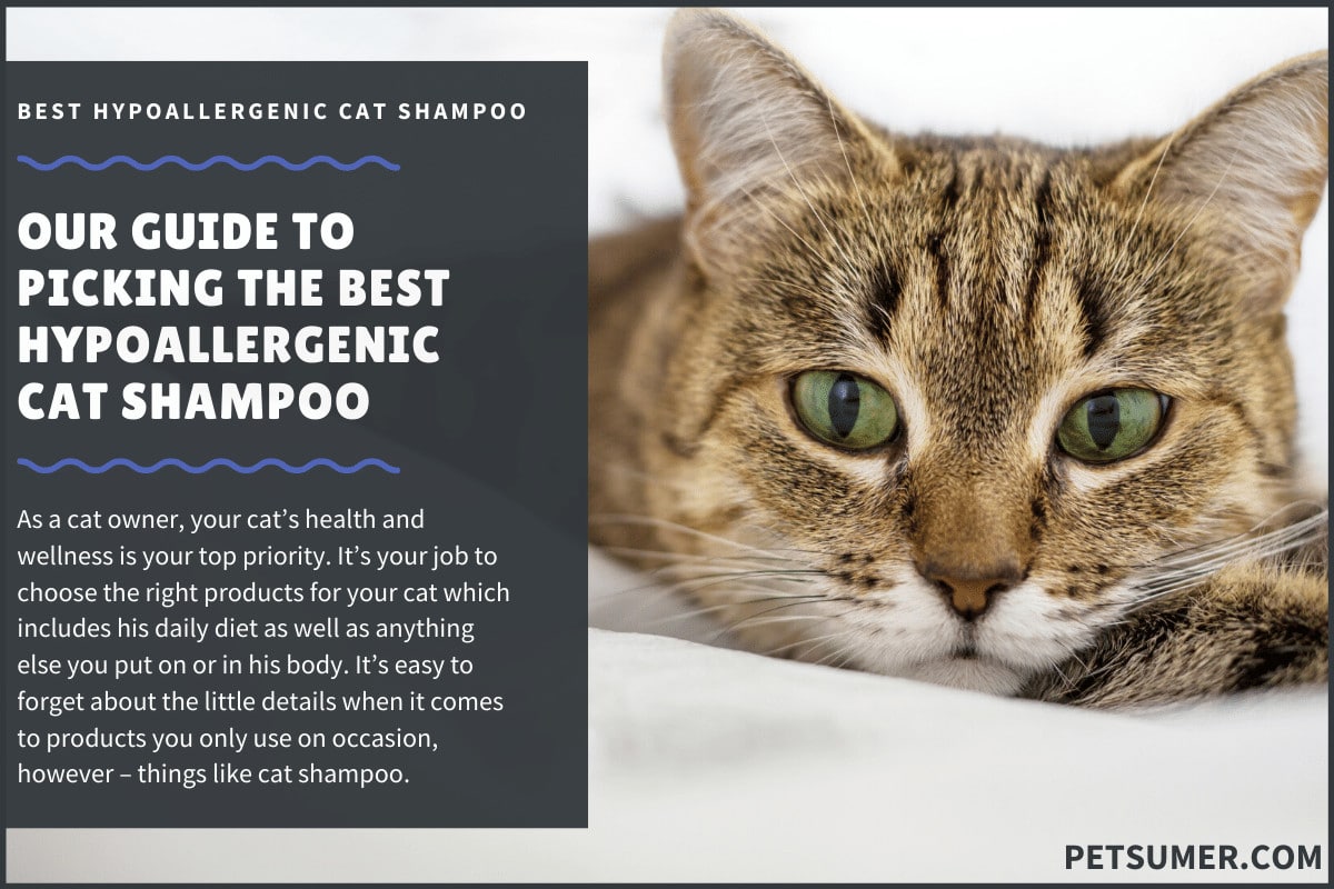 best cat shampoo for allergies