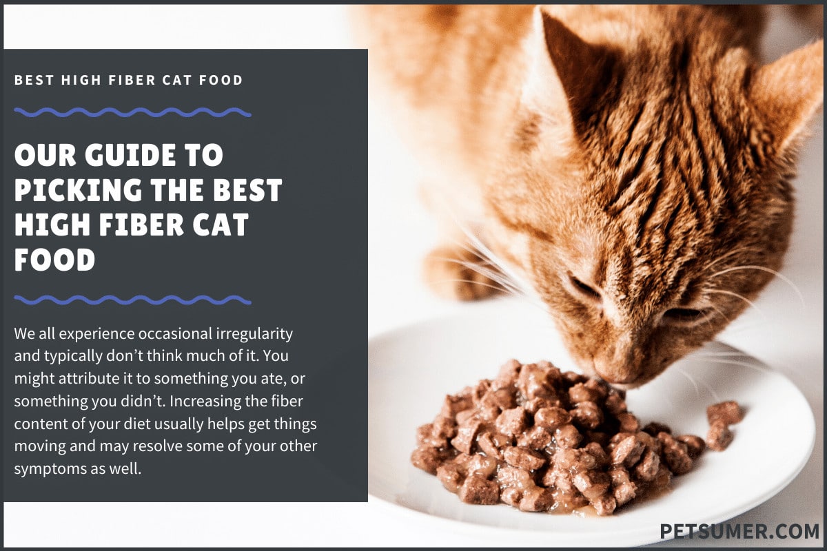5 Best High Fiber Cat Food Reviews