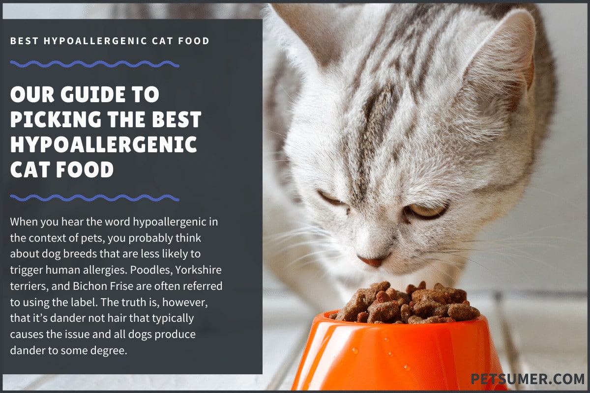 10 Best Hypoallergenic Cat Food in 2020