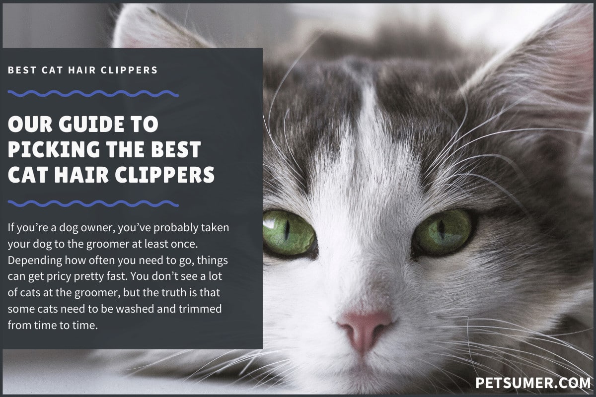 best cat grooming clippers